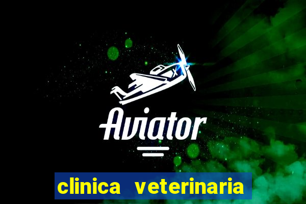 clinica veterinaria cuidar betim